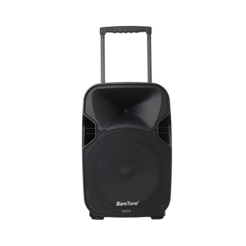 Speaker Baretone